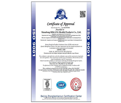 ISO 9001英文版