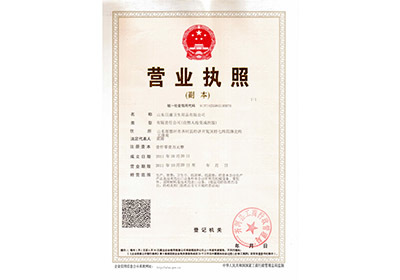 山東日康營業執照